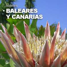 Hoteles en Canarias y Baleares